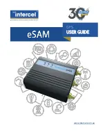 Intercel eSAM User Manual предпросмотр