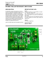 International Rectifier IRU3065 User Manual preview