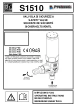 Preview for 1 page of Interpump Pratissoli S1510 Manual