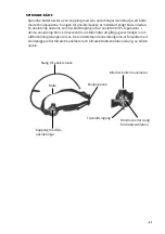 Предварительный просмотр 37 страницы INTERSPIRO SPIROLINE HP User Manual