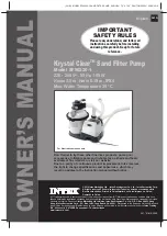 Intex Krystal Clear SF90220-1 Owner'S Manual preview