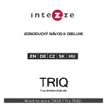 Предварительный просмотр 13 страницы INTEZZE TRIQ Simple Operating Instructions