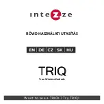 Предварительный просмотр 17 страницы INTEZZE TRIQ Simple Operating Instructions