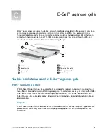 Предварительный просмотр 51 страницы Invitrogen E-Gel Power Snap Plus User Manual