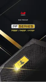 InWin P55F User Manual preview