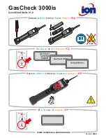 ion science GasCheck 3000IS Quick Start Manual предпросмотр