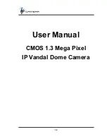 IP Camera HLV-1CM User Manual предпросмотр