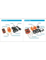 Preview for 2 page of iPets Dog training device User Operating Manual