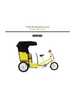 IPS Safety Trike Transporter Manual preview