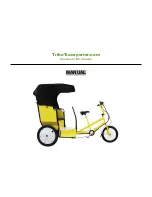 IPS Safety Trike Transporter Manual предпросмотр