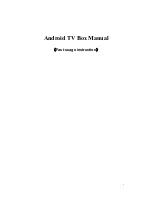 iPush Technology ITV38 Manual предпросмотр