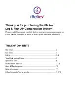 Preview for 3 page of iReliev CO-2000 Manual