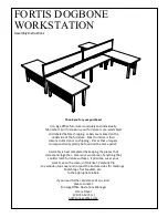 Iron Age Office FORTIS DOGBONE Assembly Instructions Manual preview