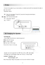 Preview for 13 page of Irradio B-LOUNGE User Manual