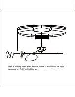 Preview for 19 page of Irradio i-PUMP User Manual