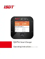 ISDT Q6 Pro Operating Instructions Manual предпросмотр