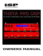 iSP Technologies THETA PRO DSP Owner'S Manual предпросмотр