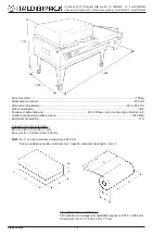 Предварительный просмотр 21 страницы ItaldibiPack DIBIPACK 6084 Installation, Use And Maintenance Manual