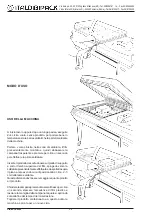 Предварительный просмотр 35 страницы ItaldibiPack DIBIPACK 6084 Installation, Use And Maintenance Manual