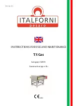 Italforni TS Gas Instructions For Use And Maintenance Manual предпросмотр