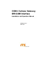 Предварительный просмотр 2 страницы ITS Telecom CGW-I Installation And Operation Manual