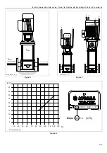 Предварительный просмотр 215 страницы ITT Lowara e-SV Series Installation And Operating Instructions Manual