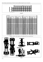 Предварительный просмотр 216 страницы ITT Lowara e-SV Series Installation And Operating Instructions Manual