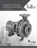 ITT TruBlue 710 Installation, Operation And Maintenance Manual предпросмотр