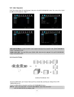 Preview for 28 page of iVigil Multiplex DVR User Manual