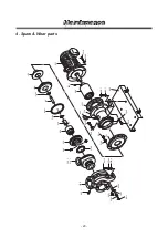 Preview for 31 page of IWAKI PUMPS AMP 40 Instruction Manual