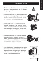 Preview for 9 page of IWAKI PUMPS APN-110-D3 Instruction Manual