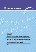 Предварительный просмотр 1 страницы IWAKI PUMPS ES-B Series Instruction Manual