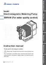 IWAKI PUMPS EWN-B09 Instruction Manual preview