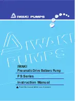 Предварительный просмотр 1 страницы IWAKI PUMPS FS-15HT1 Instruction Manual