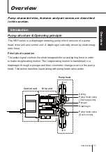 Preview for 11 page of IWAKI PUMPS HRP-54V/H-1 Instruction Manual