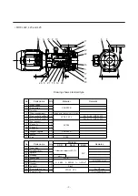 Предварительный просмотр 11 страницы IWAKI PUMPS MDF-L Instruction Manual