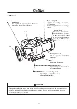 Preview for 14 page of IWAKI PUMPS MX-F250 Instruction Manual