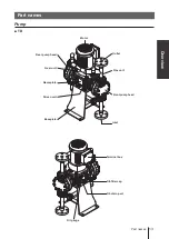 Предварительный просмотр 13 страницы IWAKI PUMPS TD Series Instruction Manual