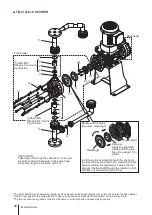 Предварительный просмотр 40 страницы IWAKI PUMPS TD Series Instruction Manual