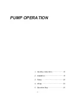 Preview for 17 page of IWAKI MDE32-100 Instruction Manual