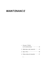 Preview for 31 page of IWAKI MDE32-100 Instruction Manual