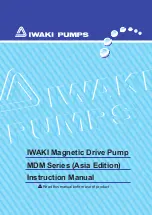 IWAKI MDM 25 Instruction Manual предпросмотр