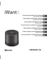 Preview for 1 page of iWantit iWPMSBT13E Instruction Manual