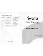 Iwata CM-12E User Manual предпросмотр