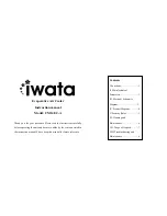 Iwata CM14EC-A Instruction Manual предпросмотр