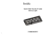 Предварительный просмотр 1 страницы Iwata Genius Light Quick Start Manual