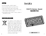 Предварительный просмотр 5 страницы Iwata Genius Sweet Quick Start Manual