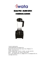 Iwata PRO – BLEND MAXX Manual предпросмотр