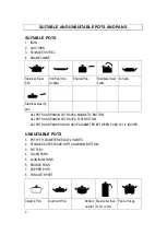 Предварительный просмотр 4 страницы Iwatani IWA-1500 User Manual