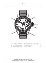 Preview for 27 page of IWC Schaffhausen TOP GUN Operating Instructions Manual